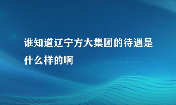 谁知道辽宁方大集团的待遇是什么样的啊