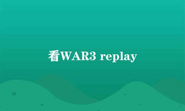 看WAR3 replay