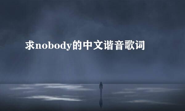 求nobody的中文谐音歌词