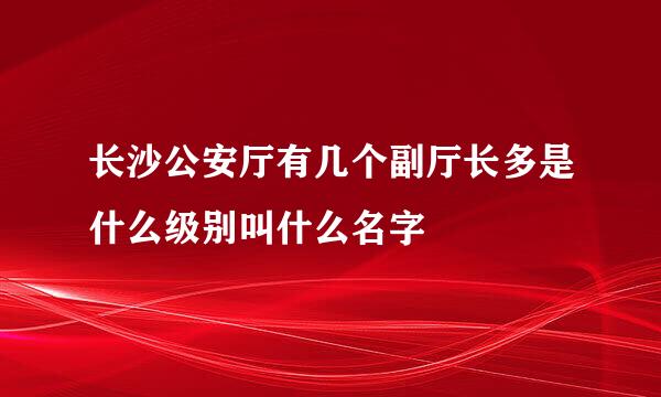 长沙公安厅有几个副厅长多是什么级别叫什么名字