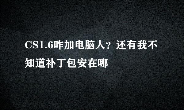 CS1.6咋加电脑人？还有我不知道补丁包安在哪