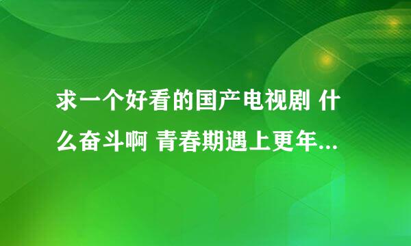 求一个好看的国产电视剧 什么奋斗啊 青春期遇上更年期啊 之类的我都看了