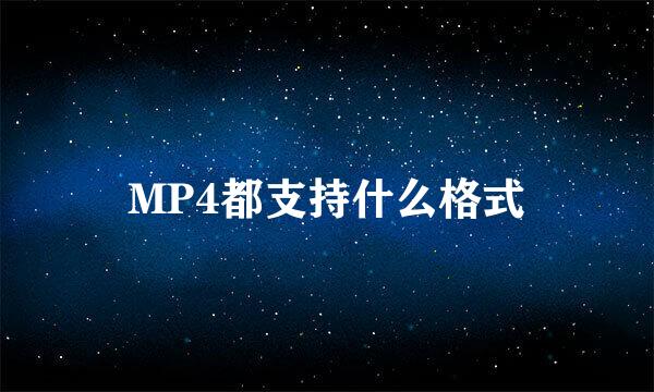 MP4都支持什么格式