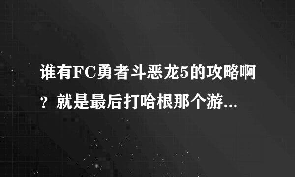 谁有FC勇者斗恶龙5的攻略啊？就是最后打哈根那个游戏。要完整攻略