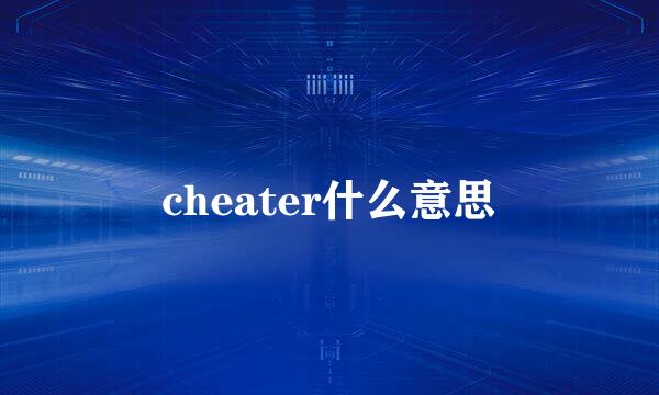 cheater什么意思