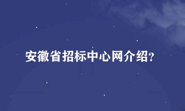 安徽省招标中心网介绍？