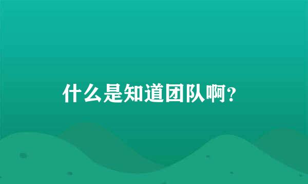 什么是知道团队啊？