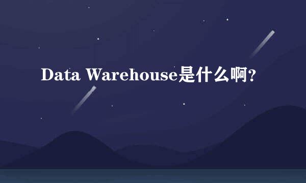 Data Warehouse是什么啊？