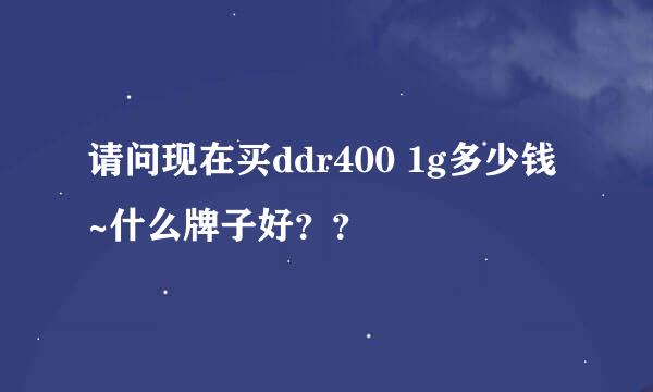 请问现在买ddr400 1g多少钱~什么牌子好？？