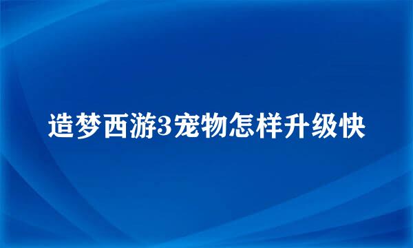 造梦西游3宠物怎样升级快