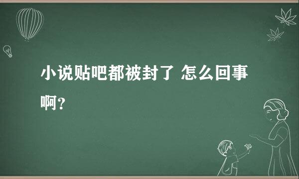 小说贴吧都被封了 怎么回事啊？