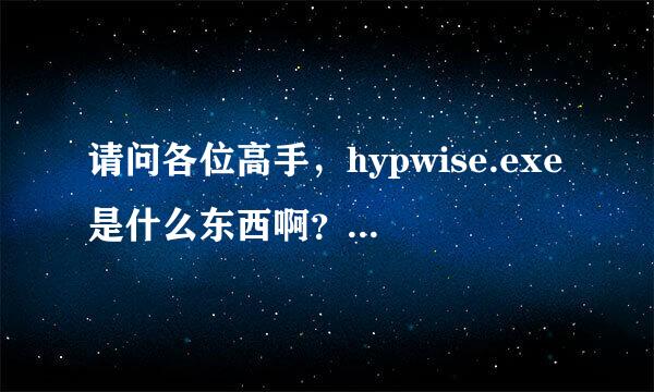 请问各位高手，hypwise.exe是什么东西啊？在我得进程里！