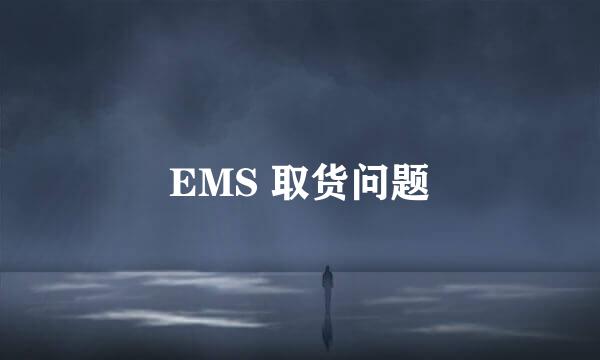 EMS 取货问题