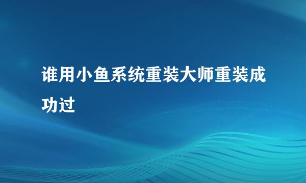 谁用小鱼系统重装大师重装成功过