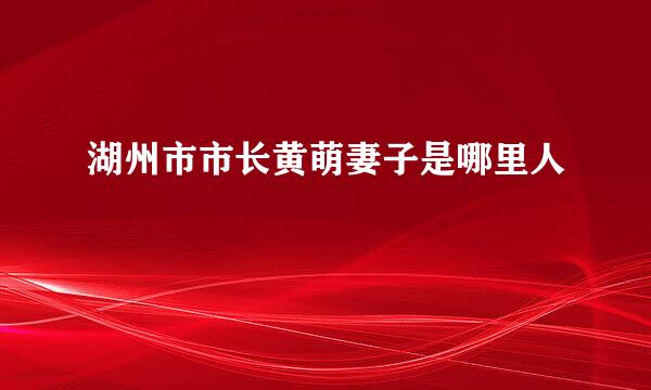 湖州市市长黄萌妻子是哪里人