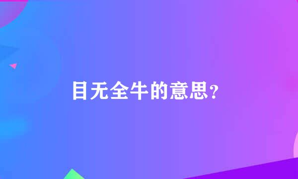 目无全牛的意思？