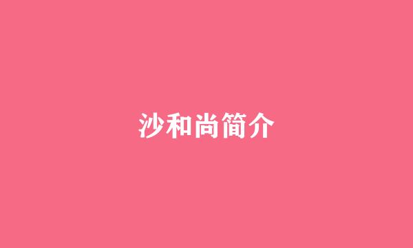 沙和尚简介