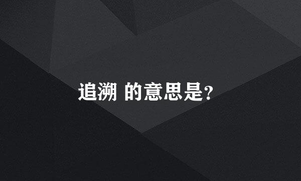 追溯 的意思是？