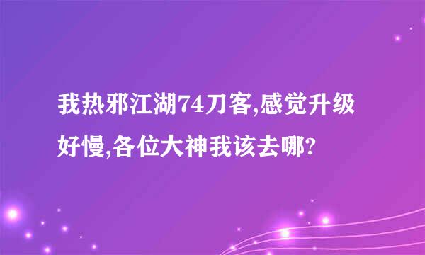 我热邪江湖74刀客,感觉升级好慢,各位大神我该去哪?