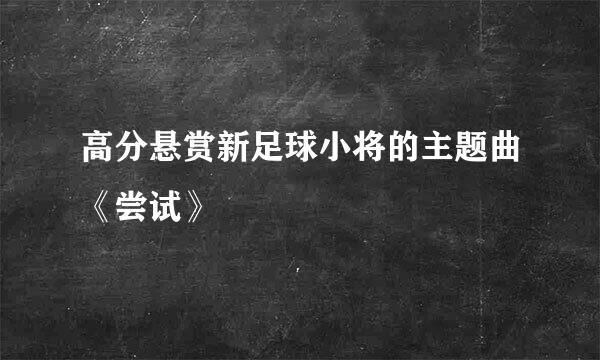 高分悬赏新足球小将的主题曲《尝试》