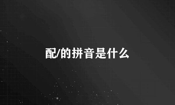 配/的拼音是什么