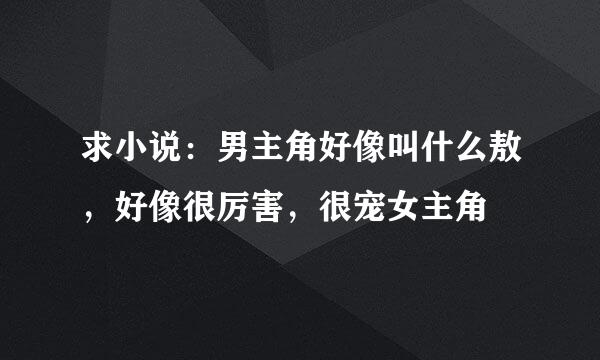 求小说：男主角好像叫什么敖，好像很厉害，很宠女主角