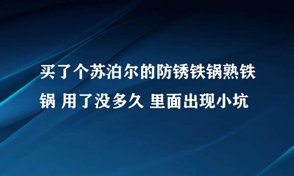 买了个苏泊尔的防锈铁锅熟铁锅 用了没多久 里面出现小坑