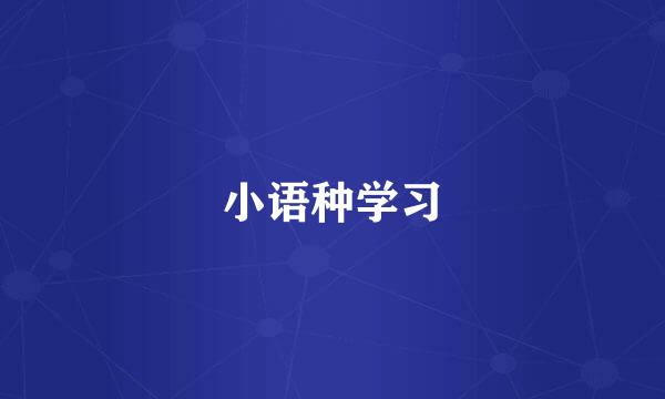 小语种学习