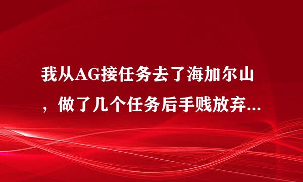 我从AG接任务去了海加尔山，做了几个任务后手贱放弃了跑回AG，再回到海加尔山的时候就看不到任务了。