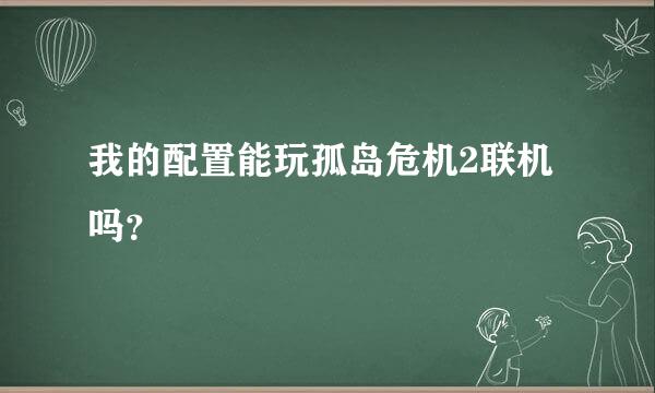 我的配置能玩孤岛危机2联机吗？