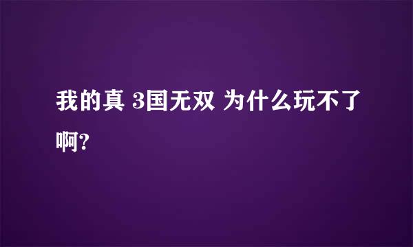 我的真 3国无双 为什么玩不了啊?