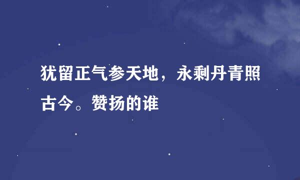 犹留正气参天地，永剩丹青照古今。赞扬的谁