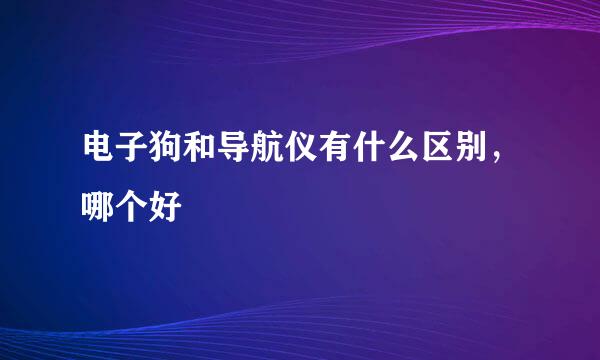 电子狗和导航仪有什么区别，哪个好