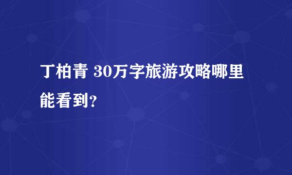 丁柏青 30万字旅游攻略哪里能看到？