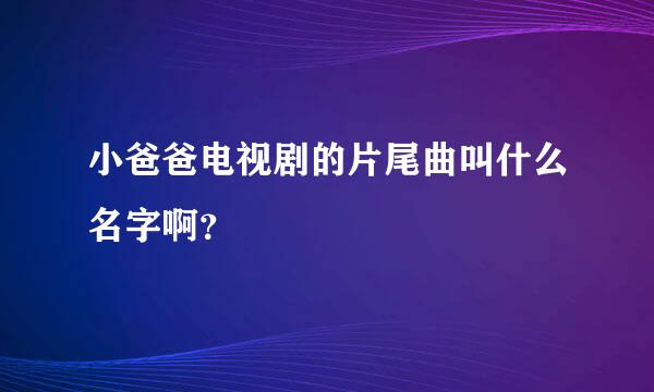 小爸爸电视剧的片尾曲叫什么名字啊？