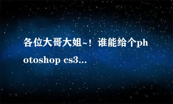 各位大哥大姐~！谁能给个photoshop cs3官方中文正式版的下载地址我啊？我给你很多分。