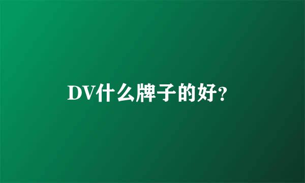 DV什么牌子的好？