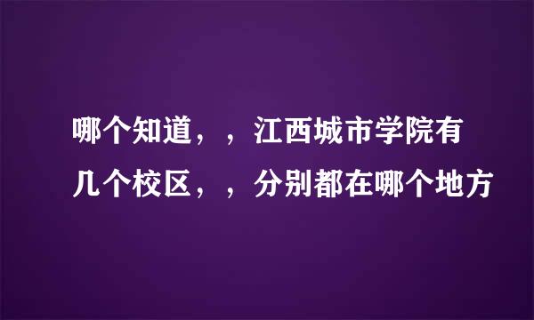 哪个知道，，江西城市学院有几个校区，，分别都在哪个地方