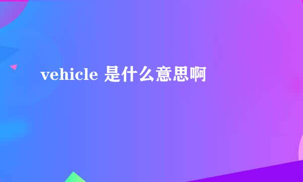 vehicle 是什么意思啊