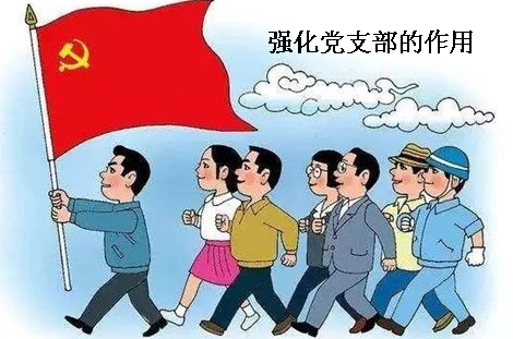 党支部的作用是什么？