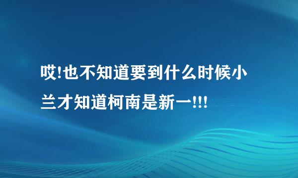 哎!也不知道要到什么时候小兰才知道柯南是新一!!!