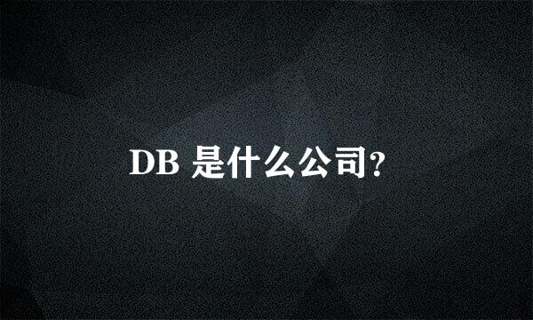 DB 是什么公司？