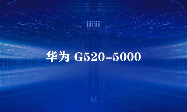 华为 G520-5000