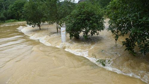 钱塘江流域发生今年第1号洪水，洪水来了代表着什么？