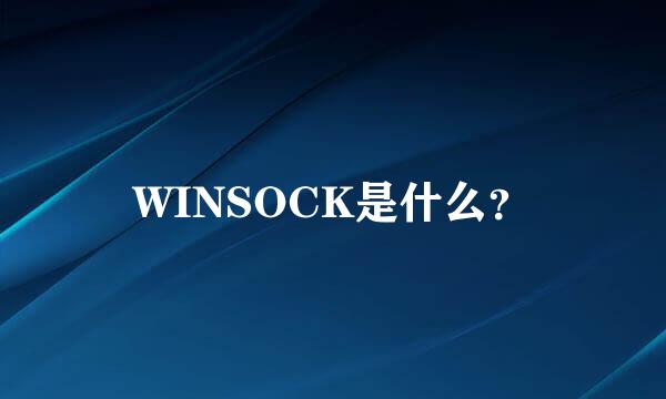 WINSOCK是什么？