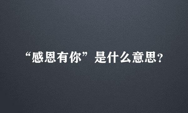 “感恩有你”是什么意思？