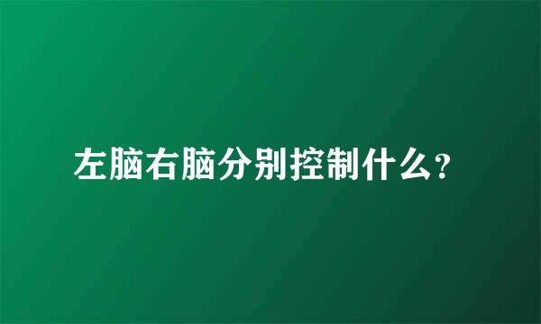 左脑右脑分别控制什么？