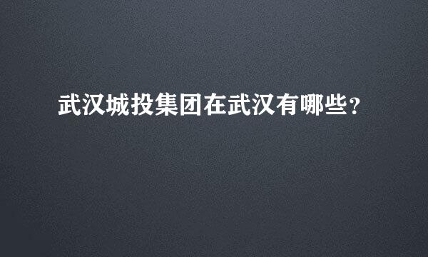 武汉城投集团在武汉有哪些？