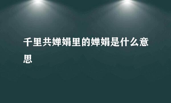 千里共婵娟里的婵娟是什么意思