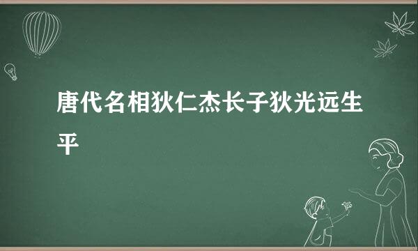 唐代名相狄仁杰长子狄光远生平